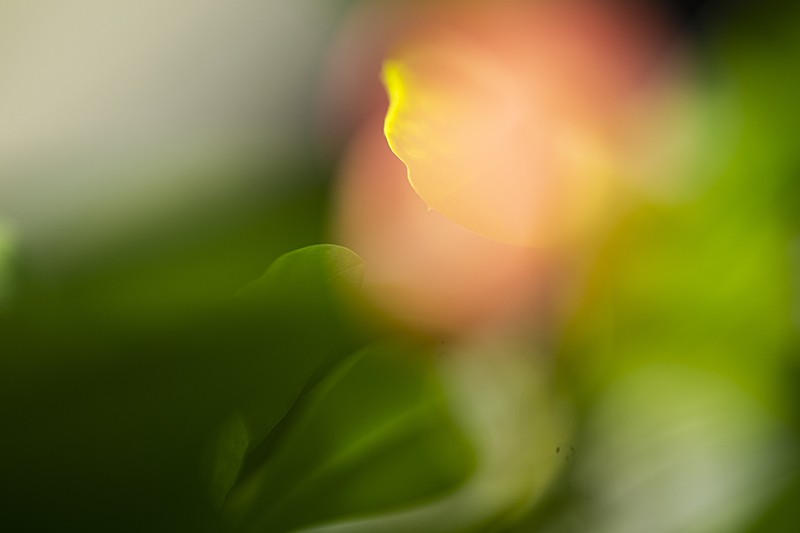 Photography by Terry Vitacco